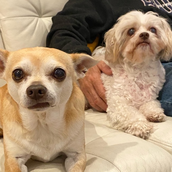 Meet your Posher, Liz - Picture 5 of 5